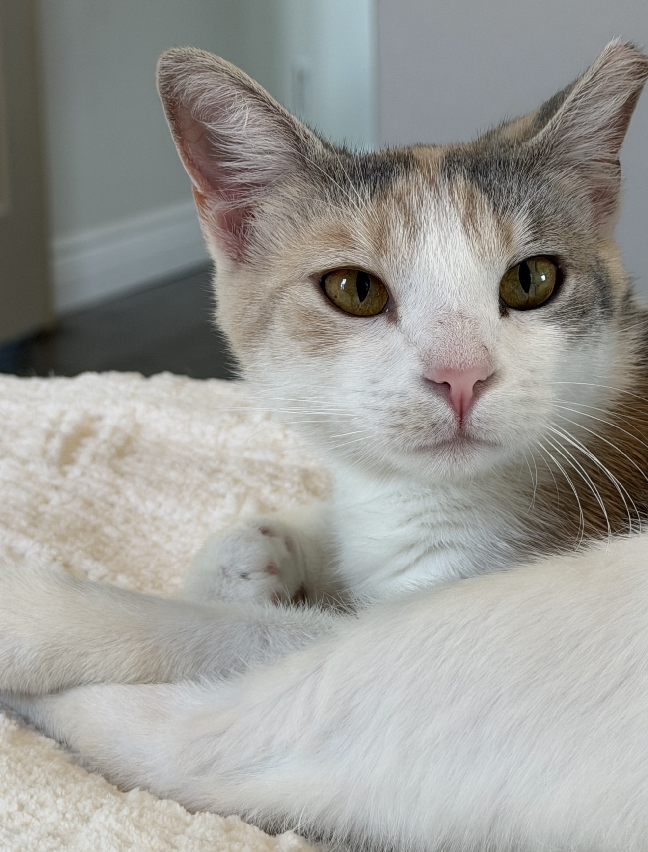 Sally