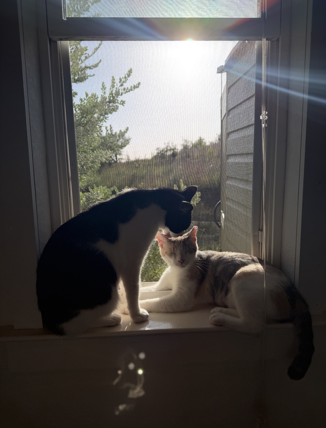 Kevin and Sally in the window.