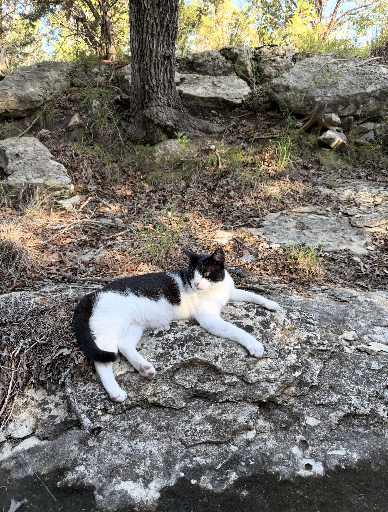 Kevin, hill country hangs.