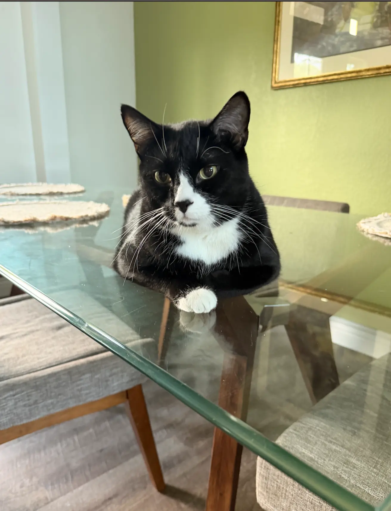 Finn
